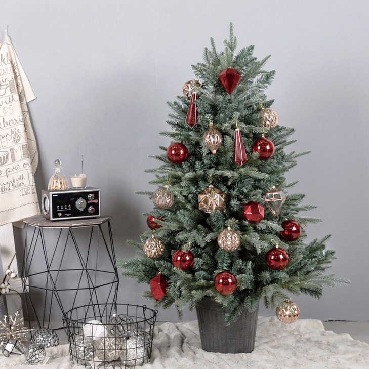 마쉬매리골드 피오르드트리, 그레이