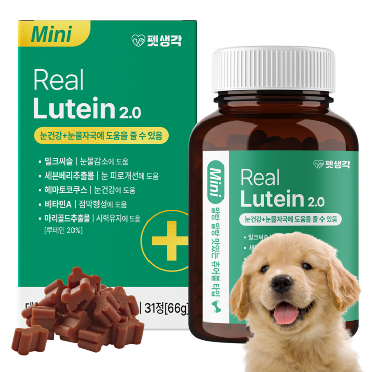 강아지 눈건강 눈물자국 눈영양제 펫생각 데일리케어 리얼 루테인 미니 애견영양제 츄어블 간식 눈노화 시력저하 예방