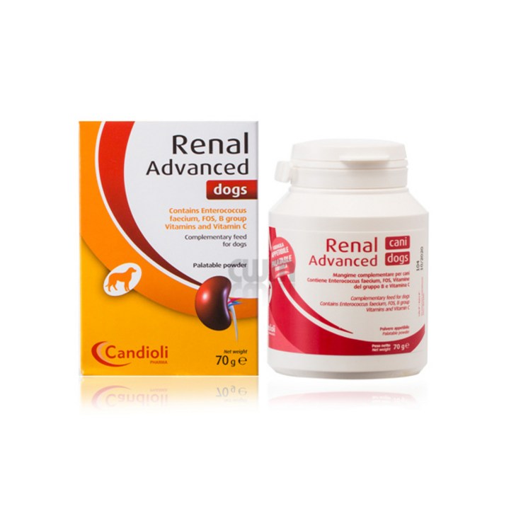 반려동물 강아지 고양이 신장 신부전 신장질환 영양제 레날 어드밴스독 70g