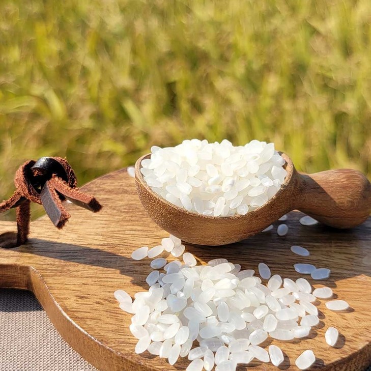 단일품종 신동진 백미20kg