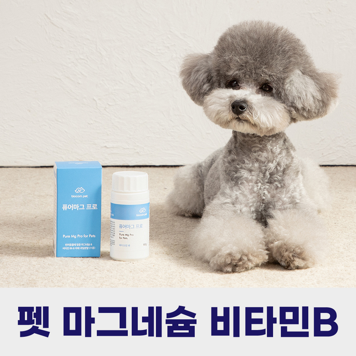 강아지 필수 영양제 퓨어마그 프로 항산화제 심장 눈물 슬개골, 3개, 눈물개선눈건강