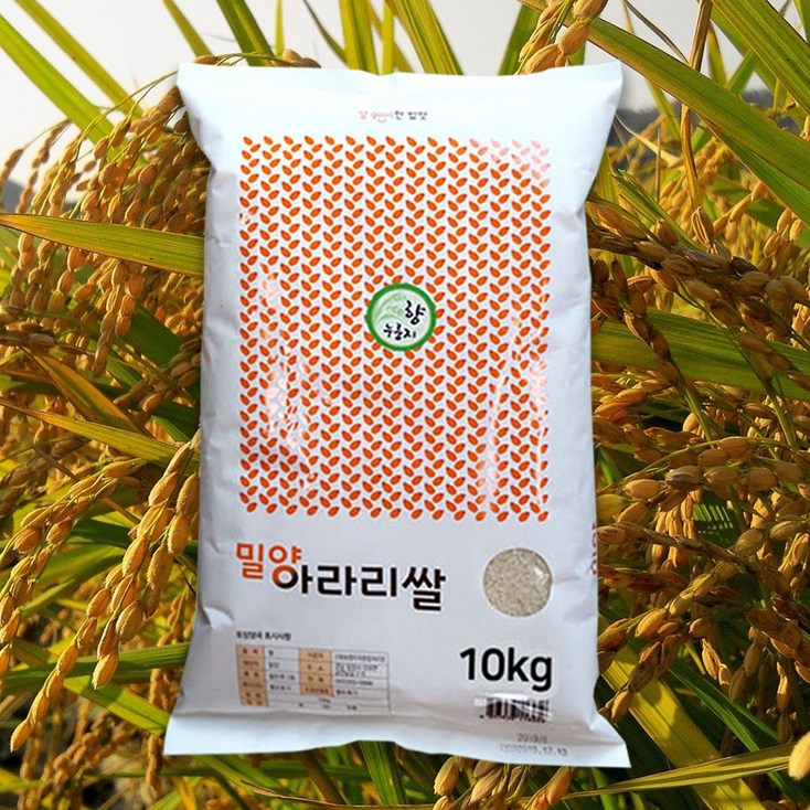 구수한 누룽지향의 밀양 아라리 쌀, 1포, 10kg - 투데이밈