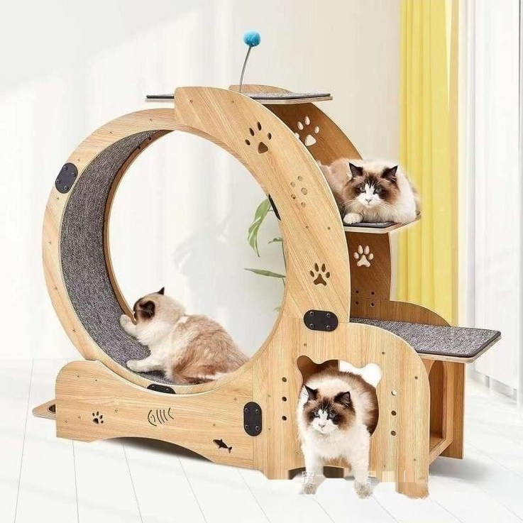 캣타워 고양이 하우스 고양이 러닝 롤러 다용도 고양이타워, 사진 색상