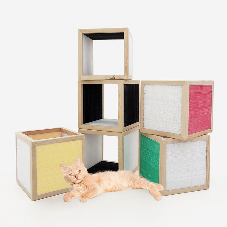 백년애 오래쓰는 스크래쳐 고양이 스크래쳐 [큐브형], 1.블랙+화이트