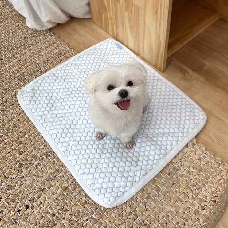 마리베 스타트슬립 강아지 고양이 냉감 쿨매트패드 방석, 화이트 SUNDCPAD, 1개