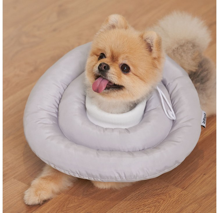 반려생각 UFO 반려동물 넥카라, 단일 색상, 1개