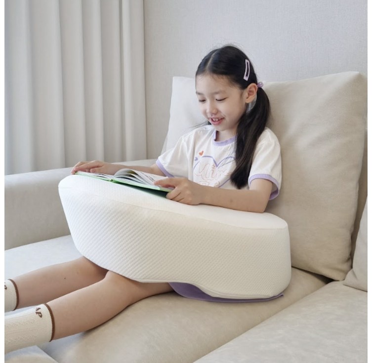 펌플렉스 바른자세 스터디쿠션 독서쿠션 유아독서대 디지털교과서 아이패드 탭 태블릿 거치대