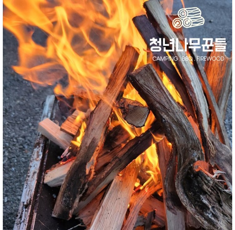 청년나무꾼들 캠핑 기계건조 국산 참나무 장작